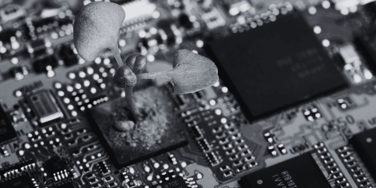 Series A PR Plant growing out of a computer internal board