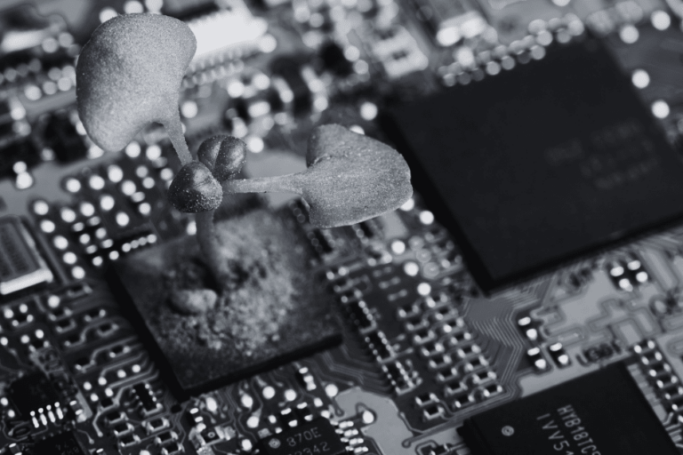 Series A PR Plant growing out of a computer internal board